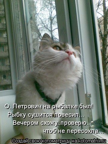 О, Петрович на рыбалке был! Рыбку сушится повесил... Вечером схожу..проверю... чтоб не пересохла...... Котоматрица: О, Петрович на рыбалке был! Рыбку сушится повесил... Вечером схожу..проверю... чтоб не пересохла...