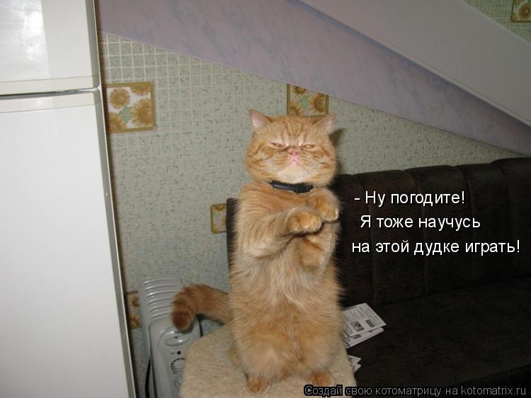 - Ну погодите! на этой дудке играть! Я тоже научусь... Котоматрица: - Ну погодите! на этой дудке играть! Я тоже научусь