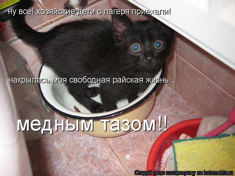 ну все! хозяйские дети с лагеря приехали! накрылась моя свободная райская жизнь... медным тазом!!... Котоматрица: ну все! хозяйские дети с лагеря приехали! накрылась моя свободная райская жизнь... медным тазом!!