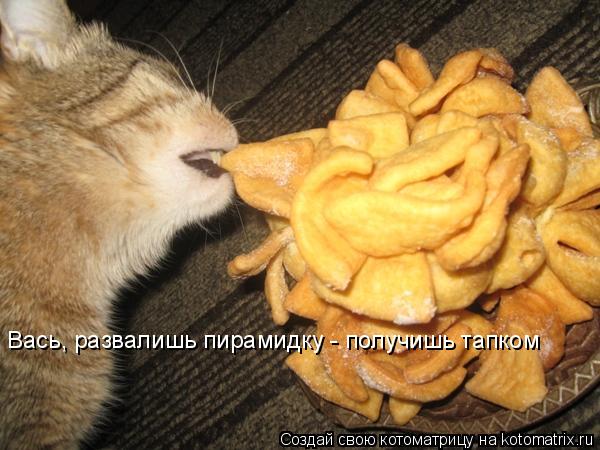 Вась, развалишь пирамидку - получишь тапком... Котоматрица: Вась, развалишь пирамидку - получишь тапком