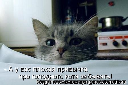 Котоматрица: - А у вас плохая привычка про голодного кота забывать!