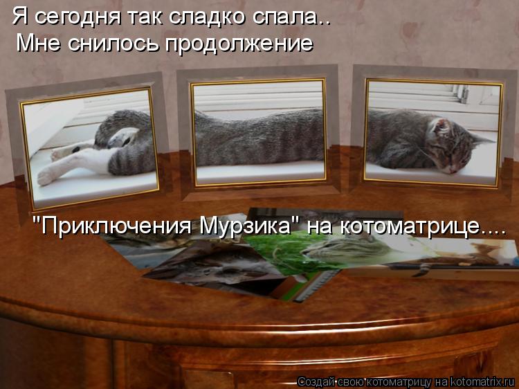 Я сегодня так сладко спала.. Мне снилось продолжение "Приключения Мурзика" на котоматрице....... Котоматрица: Я сегодня так сладко спала.. Мне снилось продолжение "Приключения Мурзика" на котоматрице....