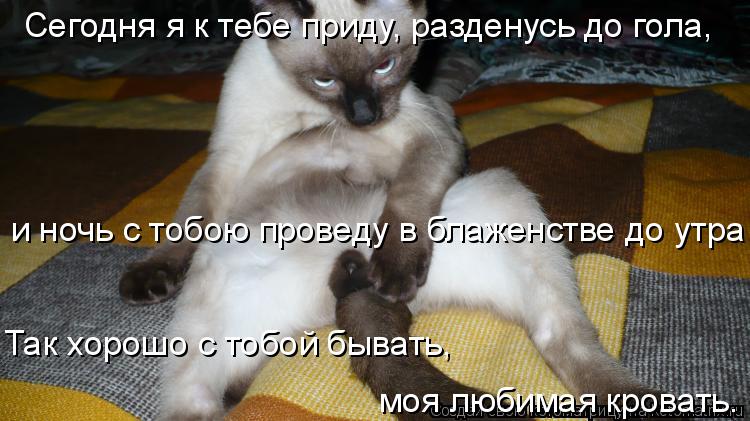 Сегодня я к тебе приду, разденусь до гола, и ночь с тобою проведу в блаженстве до утра и ночь с тобою... Котоматрица: Сегодня я к тебе приду, разденусь до гола, и ночь с тобою проведу в блаженстве до утра и ночь с тобою проведу в блаженстве до утра Так хорошо