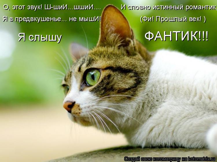 Я в предвкушенье….. не мышИ! (Фи! Прошлый век! ) Я слышу ФАНТИК!!! О, этот звук! ... Котоматрица: Я в предвкушенье….. не мышИ! (Фи! Прошлый век! ) Я слышу ФАНТИК!!! О, этот звук! Ш-шиИ..…шшиИ..…. И словно истинный роман