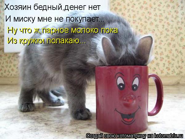 Хозяин бедный,денег нет И миску мне не покупает... Ну что ж,парное молоко пока Из кружки полакаю...... Котоматрица: Хозяин бедный,денег нет И миску мне не покупает... Ну что ж,парное молоко пока Из кружки полакаю...