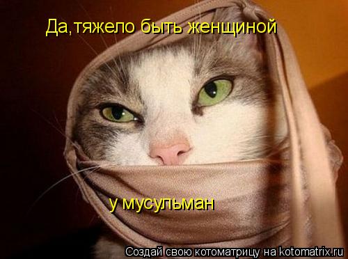 Да,тяжело быть женщиной у мусульман... Котоматрица: Да,тяжело быть женщиной у мусульман