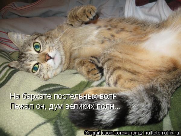 На бархате постельных волн Лежал он, дум великих полн...... Котоматрица: На бархате постельных волн Лежал он, дум великих полн...