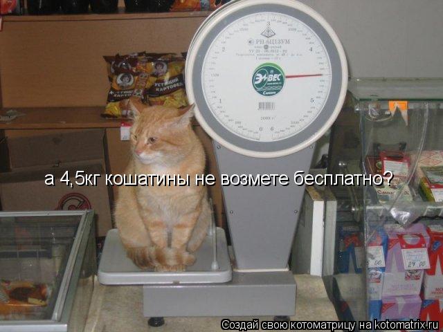 Котоматрица: а 4,5кг кошатины не возмете бесплатно?