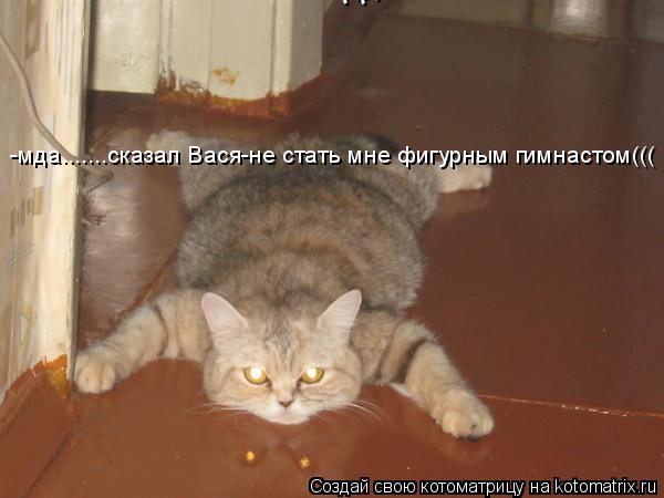 мда........Плющенко из меня некудышный -мдa.......сказал Вася-не стать мне фигурным гимнастом(((... Котоматрица: мда........Плющенко из меня некудышный -мдa.......сказал Вася-не стать мне фигурным гимнастом(((