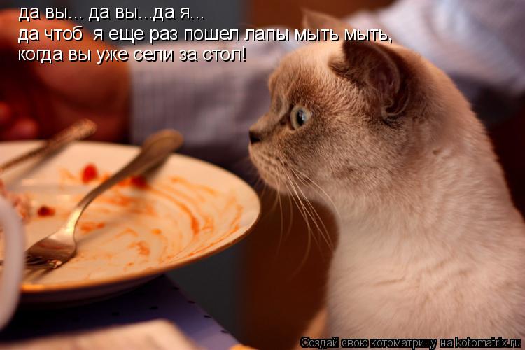 Котоматрица: да вы... да вы...да я...  да чтоб  я еще раз пошел лапы мыть мыть, когда вы уже сели за стол!