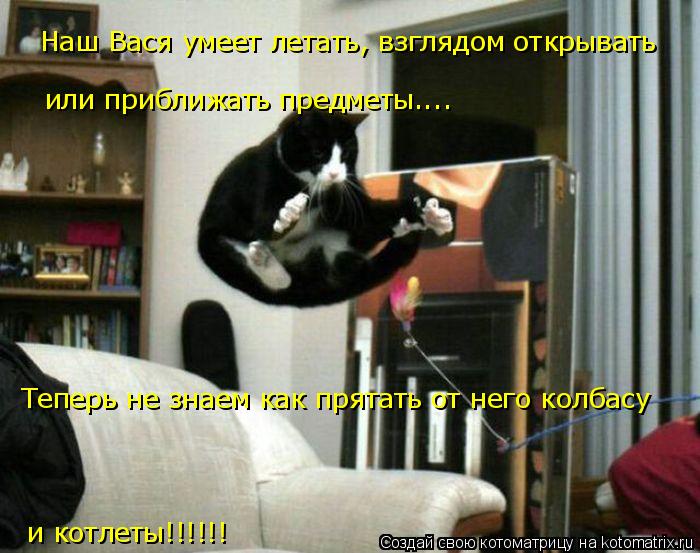 Котоматрица: Наш Вася умеет летать, взглядом открывать   или приближать предметы.... Теперь не знаем как прятать от него колбасу и котлеты!!!!!!