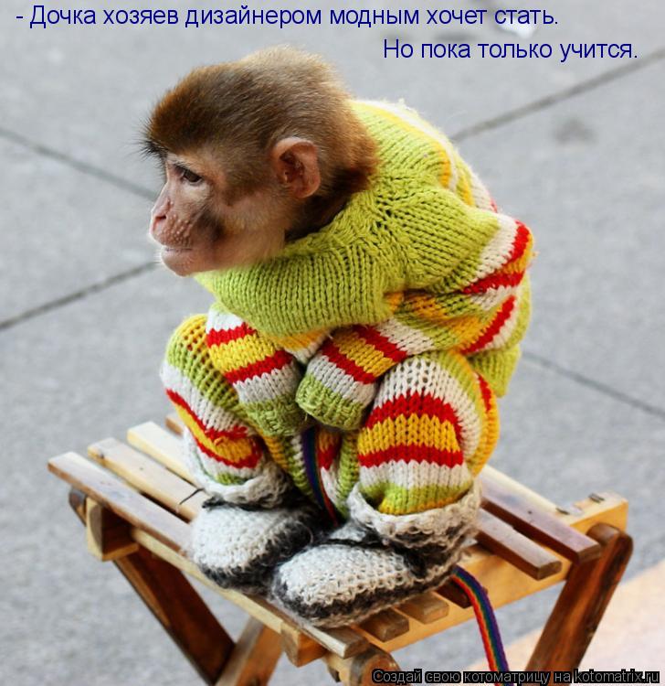 - Дочка хозяев дизайнером модным хочет стать. Но пока только учится.... Котоматрица: - Дочка хозяев дизайнером модным хочет стать. Но пока только учится.