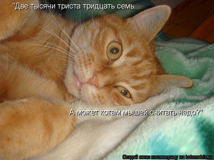 "Две тысячи триста тридцать семь... А может котам мышей считать надо?"... Котоматрица: "Две тысячи триста тридцать семь... А может котам мышей считать надо?"