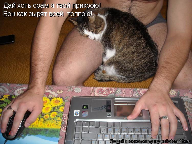 Дай хоть срам я твой прикрою! Вон как зырят всей толпою!... Котоматрица: Дай хоть срам я твой прикрою! Вон как зырят всей толпою!
