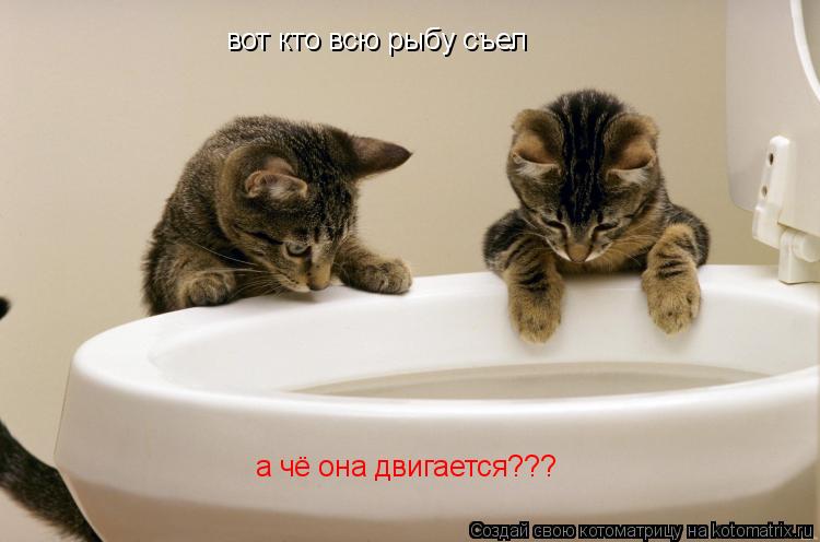 вот кто всю рыбу съел а чё она двигается???... Котоматрица: вот кто всю рыбу съел а чё она двигается???