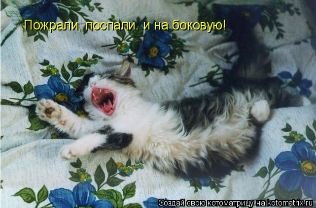 Пожрали, поспали. и на боковую!... Котоматрица: Пожрали, поспали. и на боковую!