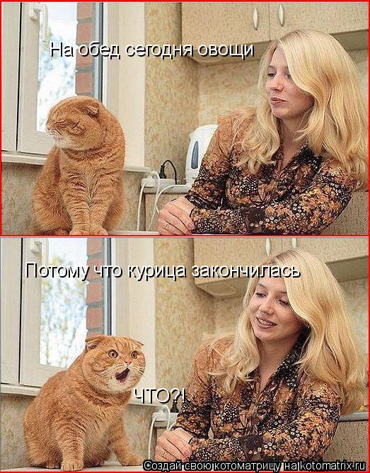 Котоматрица: На обед сегодня овощи Потому что курица закончилась ЧТО?!