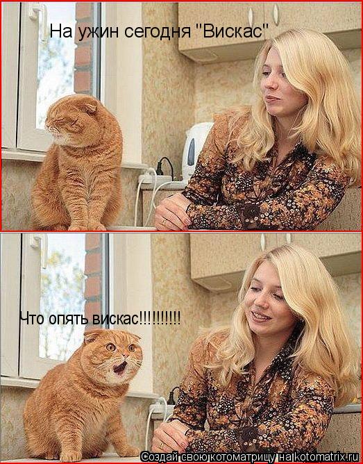 Котоматрица: На ужин сегодня "Вискас" Что опять вискас!!!!!!!!!!