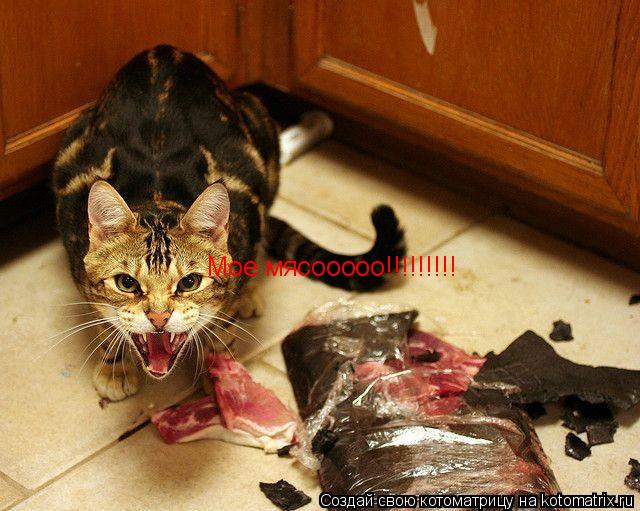 Мое мясооооо!!!!!!!!!... Котоматрица: Мое мясооооо!!!!!!!!!