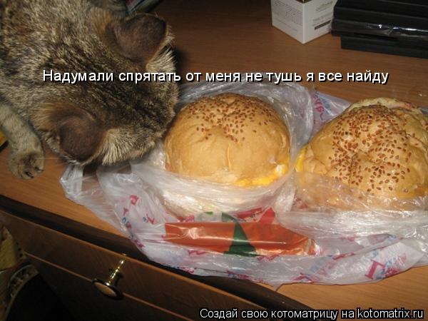 Надумали спрятать от меня не тушь я все найду... Котоматрица: Надумали спрятать от меня не тушь я все найду
