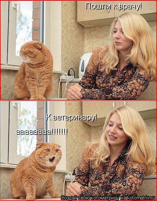 Пошли к врачу! К ветеринару! аааааааа!!!!!!!... Котоматрица: Пошли к врачу! К ветеринару! аааааааа!!!!!!!