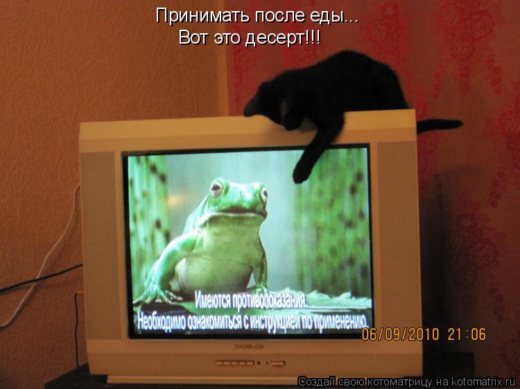 Котоматрица: Принимать после еды... Вот это десерт!!!