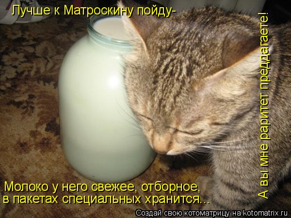 Лучше к Матроскину пойду- Молоко у него свежее, отборное, в пакетах специальных хранится... А вы мне... Котоматрица: Лучше к Матроскину пойду- Молоко у него свежее, отборное, в пакетах специальных хранится... А вы мне раритет преддагаете!