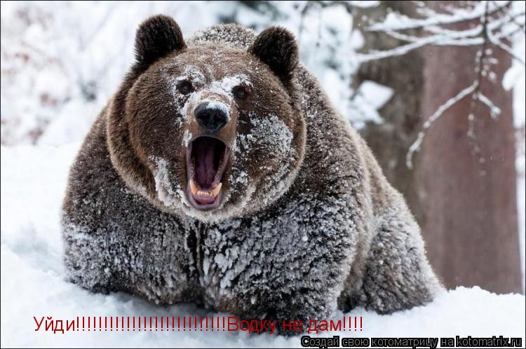 Уйди!!!!!!!!!!!!!!!!!!!!!!!!!!!Водку не дам!!!!... Котоматрица: Уйди!!!!!!!!!!!!!!!!!!!!!!!!!!!Водку не дам!!!!