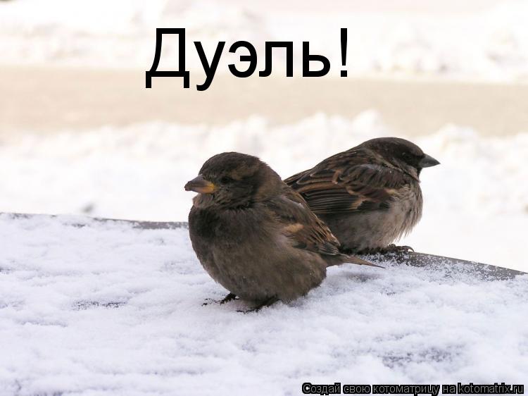 Котоматрица: Дуэль!