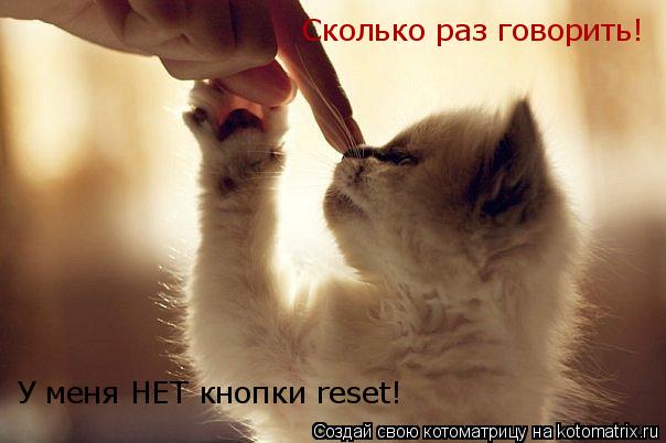 Котоматрица: Сколько раз говорить! У меня НЕТ кнопки reset!