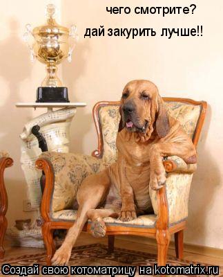 Котоматрица: чего смотрите? дай закурить лучше!!