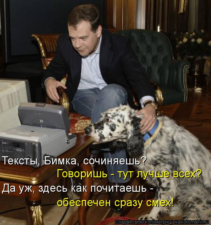 Тексты, Бимка, сочиняешь? Говоришь - тут лучше всех? Да уж, здесь как почитаешь - обеспечен сразу сме... Котоматрица: Тексты, Бимка, сочиняешь? Говоришь - тут лучше всех? Да уж, здесь как почитаешь - обеспечен сразу смех!