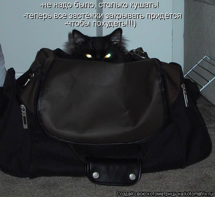 Котоматрица: -не надо было, столько кушать! -теперь все застёжки закрывать придётся -чтобы похудеть!!!)