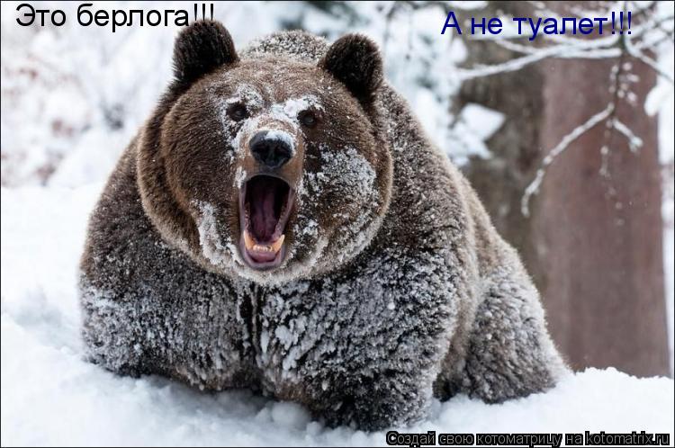 Котоматрица: Это берлога!!! А не туалет!!!