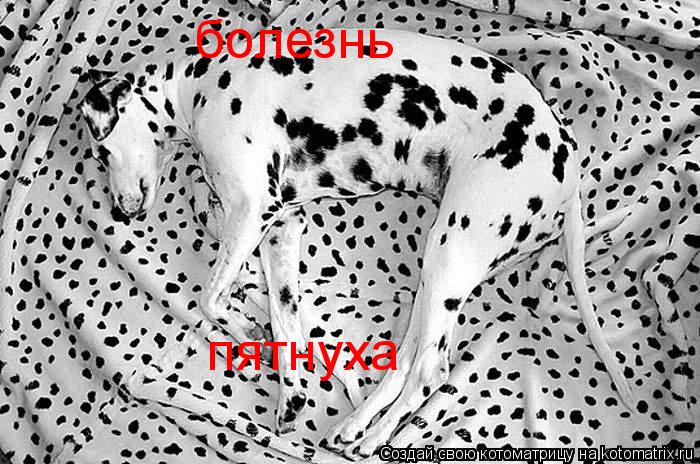 Котоматрица: пятнуха болезнь пятнуха
