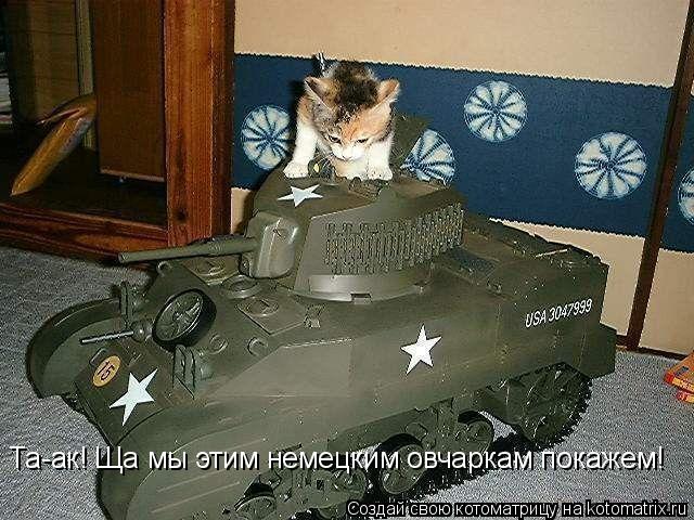 Котоматрица: Та-ак! Ща мы этим немецким овчаркам покажем!