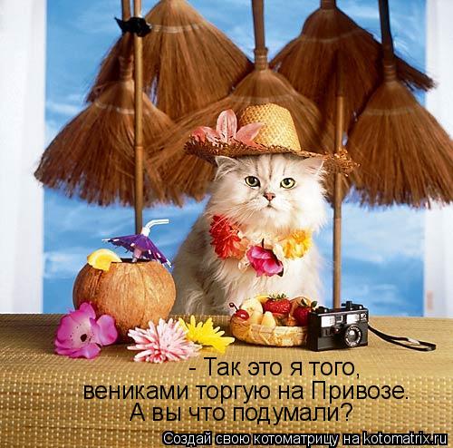 - Так это я того, вениками торгую на Привозе. А вы что подумали?... Котоматрица: - Так это я того, вениками торгую на Привозе. А вы что подумали?