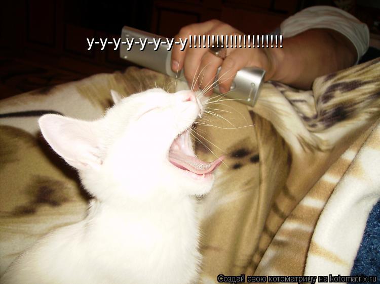 Котоматрица: у-у-у-у-у-у-у-у!!!!!!!!!!!!!!!!!!!!!