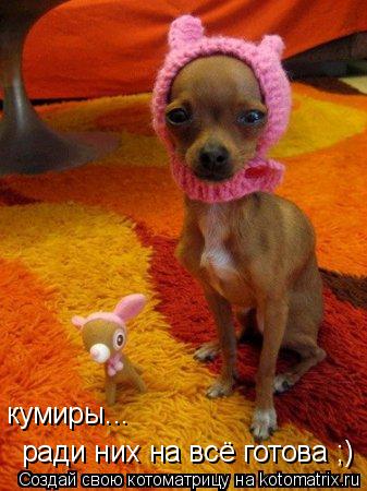 Котоматрица: кумиры... ради них на всё готова ;)