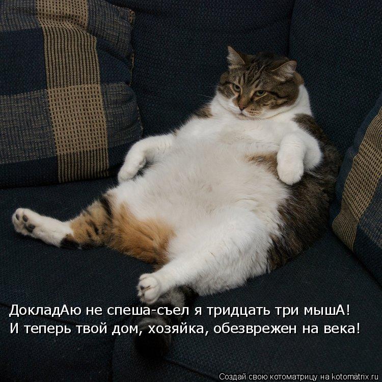 ДокладАю не спеша-съел я тридцать три мышА! И теперь твой дом, хозяйка, обезврежен на века!... Котоматрица: ДокладАю не спеша-съел я тридцать три мышА! И теперь твой дом, хозяйка, обезврежен на века!