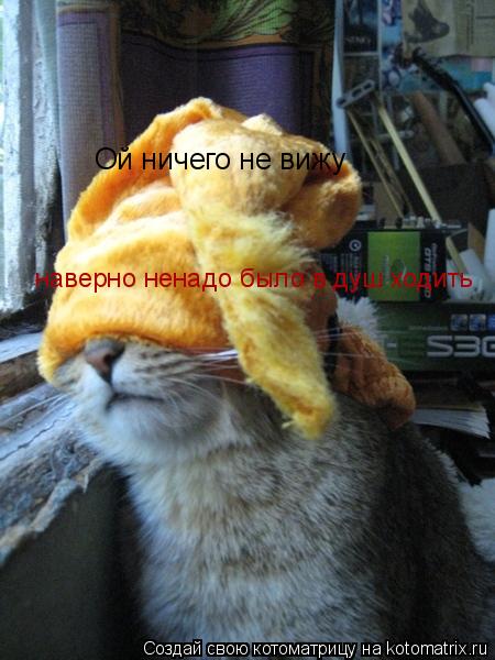Котоматрица: Ой ничего не вижу  наверно ненадо было в душ ходить
