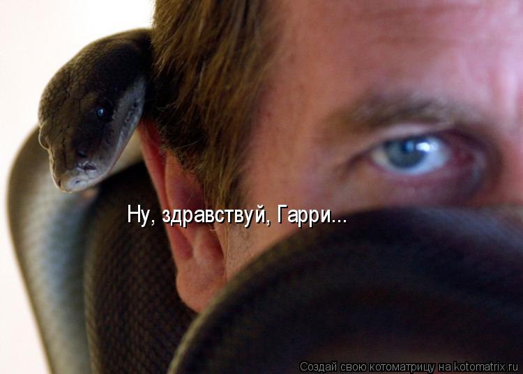Ну, здравствуй, Гарри...... Котоматрица: Ну, здравствуй, Гарри...