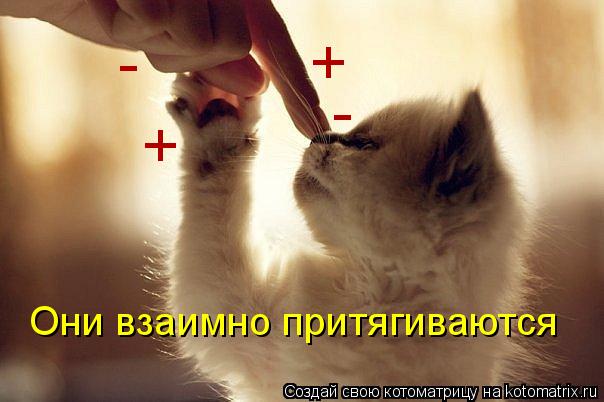 + - - + Они взаимно притягиваются... Котоматрица: + - - + Они взаимно притягиваются
