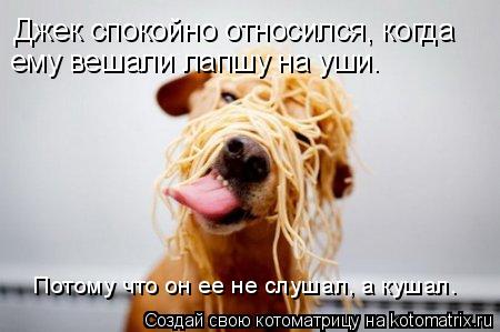 Котоматрица: Джек спокойно относился, когда ему вешали лапшу на уши. Потому что он ее не слушал, а кушал.