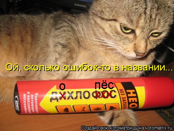 Ой, сколько ошибок-то в названии... х о ххх пёс... Котоматрица: Ой, сколько ошибок-то в названии... х о ххх пёс