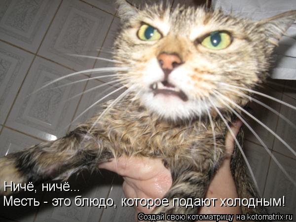 Котоматрица: Месть - это блюдо, которое подают холодным! Ничё, ничё...