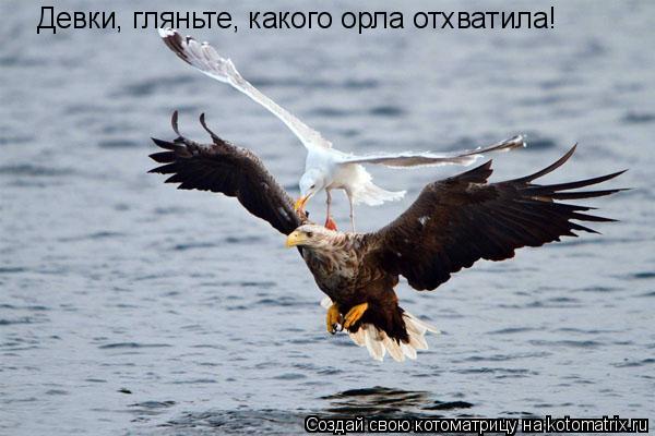 http://kotomatrix.ru/images/lolz/2010/09/16/680578.jpg