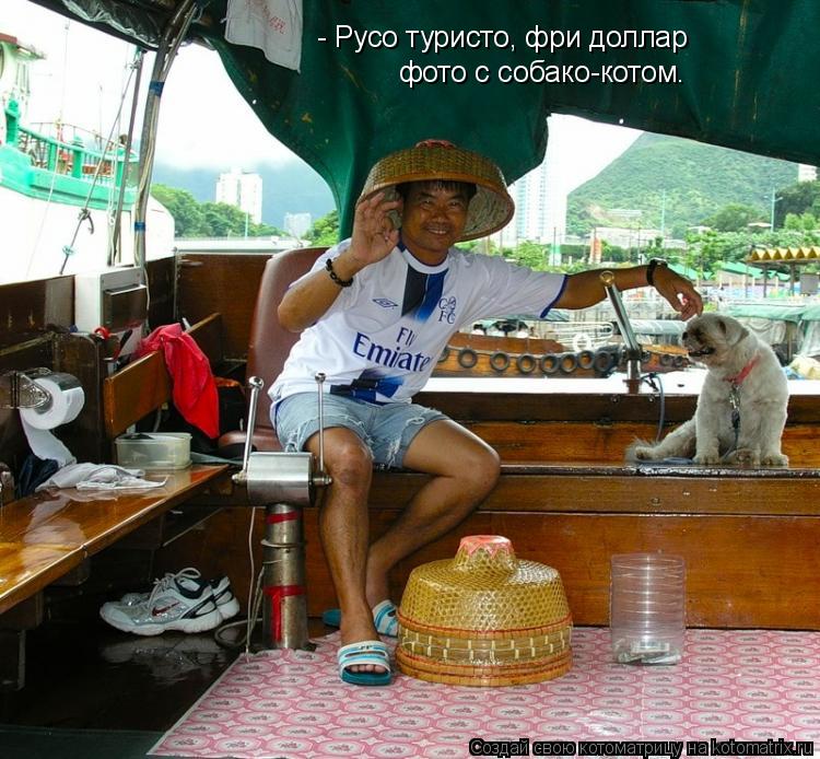 - Русо туристо, фри доллар фото с собако-котом.... Котоматрица: - Русо туристо, фри доллар фото с собако-котом.