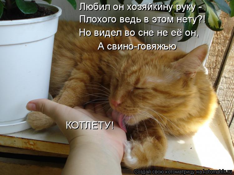 Любил он хозяйкину руку - Плохого ведь в этом нету?! А свино-говяжью КОТЛЕТУ! Но видел во сне не её ... Котоматрица: Любил он хозяйкину руку - Плохого ведь в этом нету?! А свино-говяжью КОТЛЕТУ! Но видел во сне не её он,