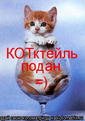КОТктейль подан =)... Котоматрица: КОТктейль подан =)